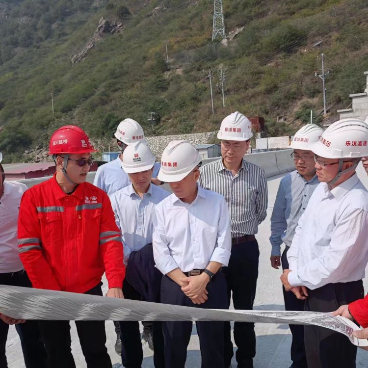 1666839505134279.jpg 蜀道集团副总经理李永林赴峨汉高速公路调研督导.jpg