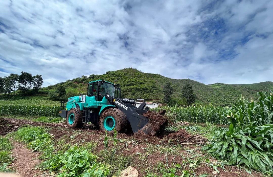 1690686847261533.jpg 4.jpg