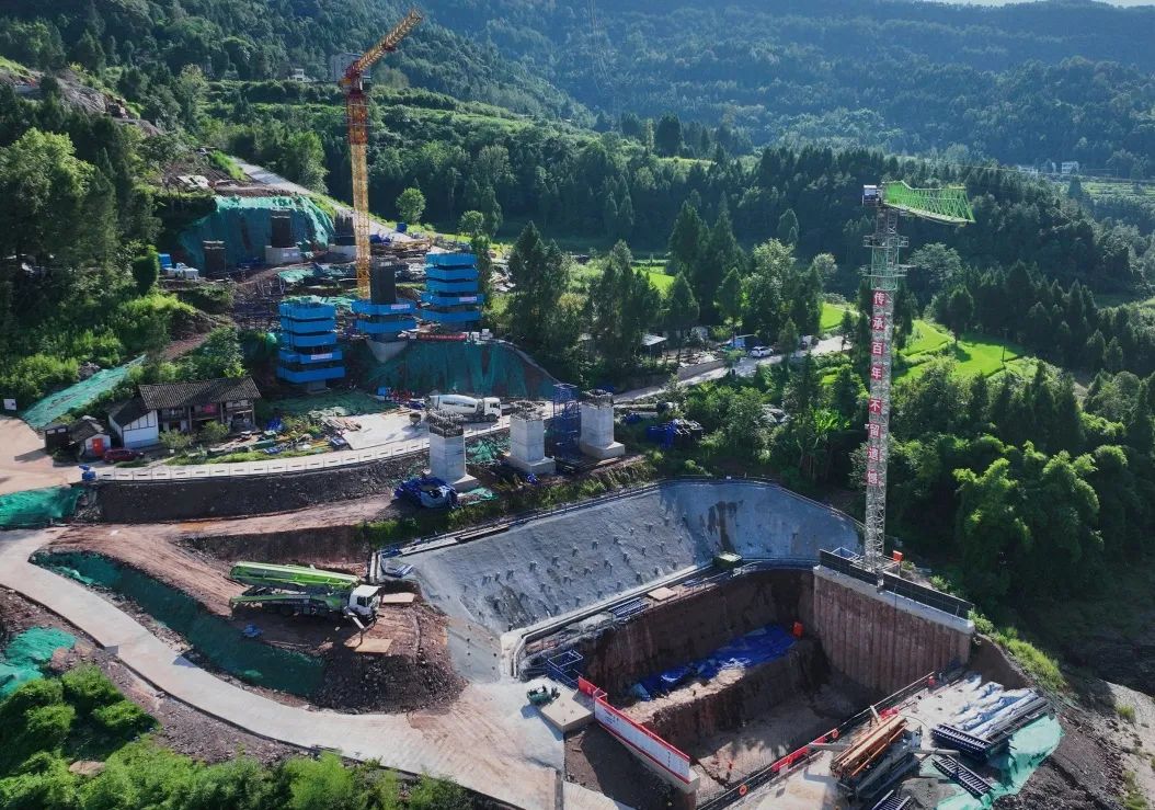 1691455815746858.jpg 3.jpg