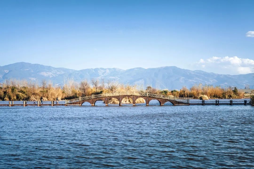 1699838125810605.jpg 5.jpg