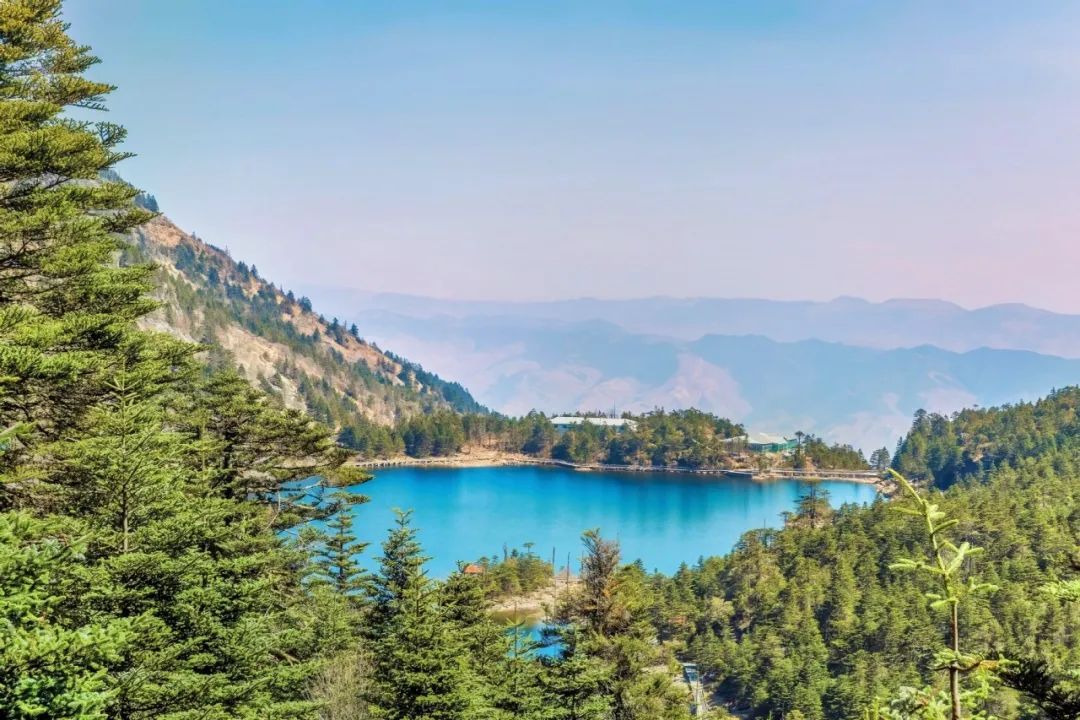 1699838146803574.jpg 6.jpg