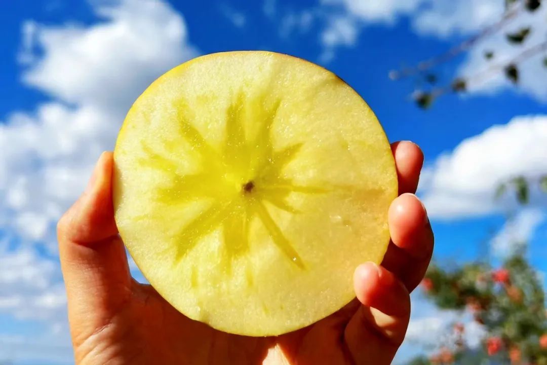 1699838301808512.jpg 10.jpg