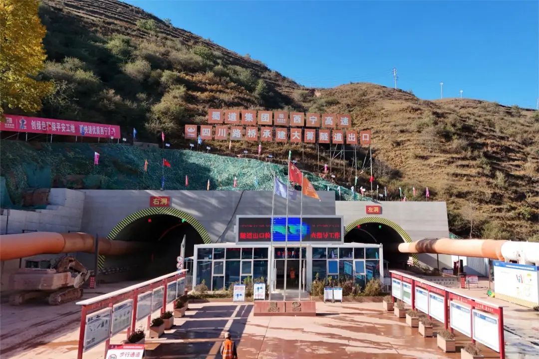 1701393247423177.jpg 3.jpg