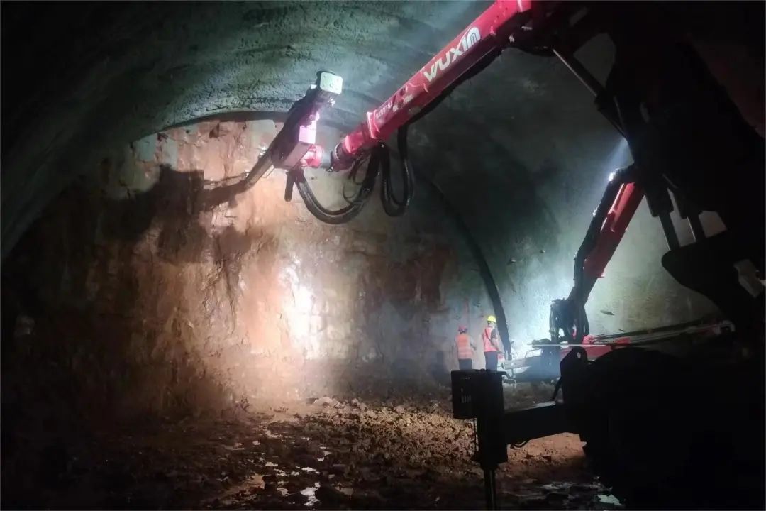 1701393296874522.jpg 5.jpg