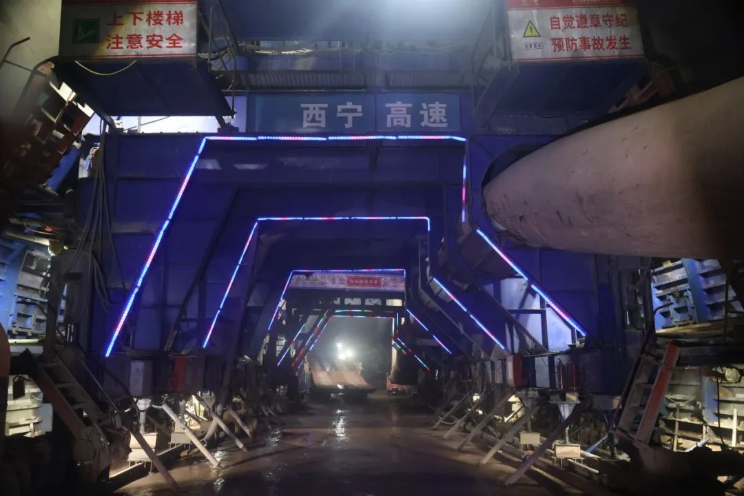 1701393316807522.jpg 6.jpg