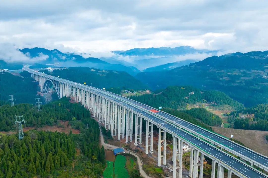 1707446817227462.jpg 3.jpg